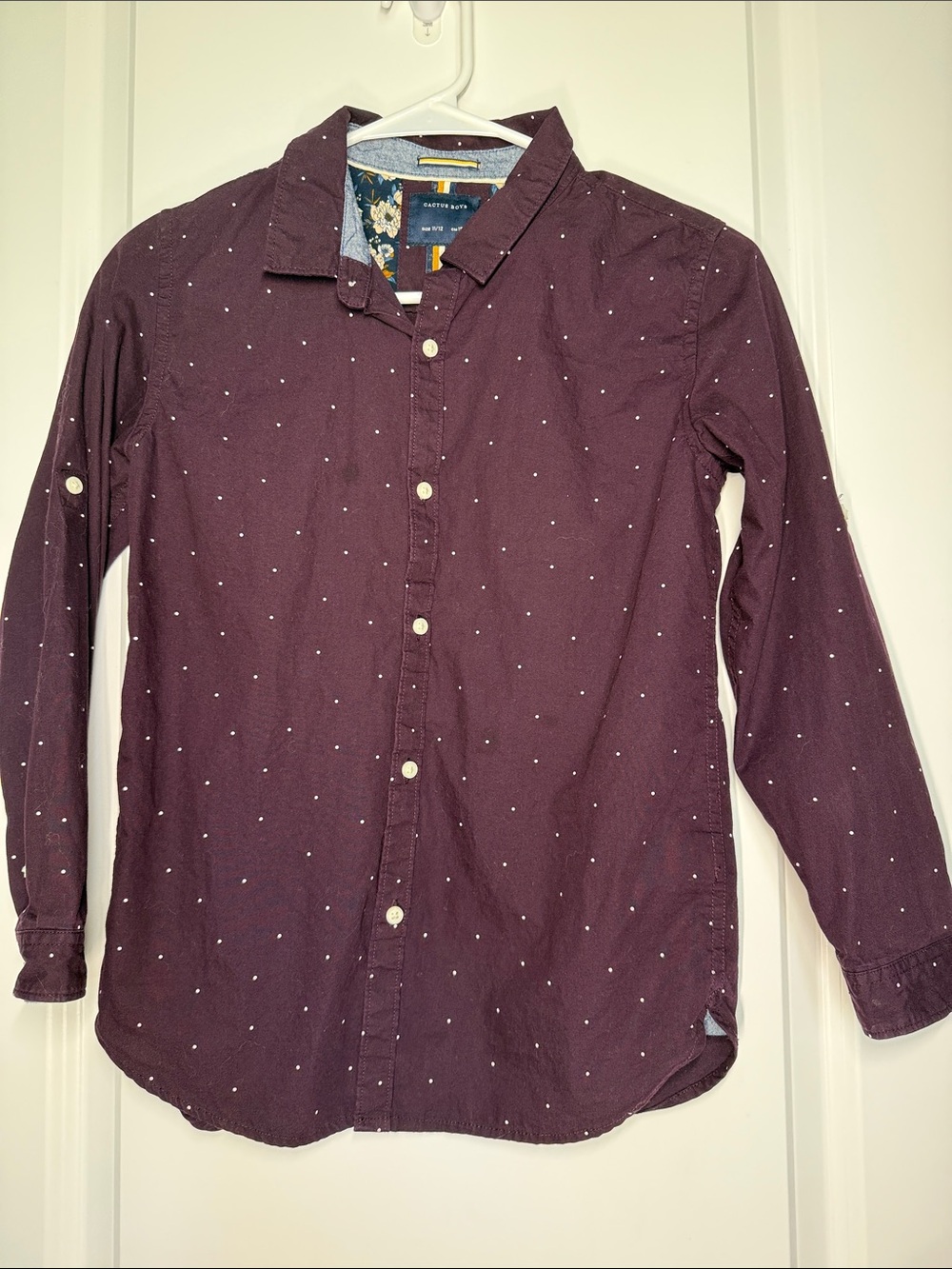 Cactus Men's Burgundy Dot Long-Sleeve Button-Down Shirt